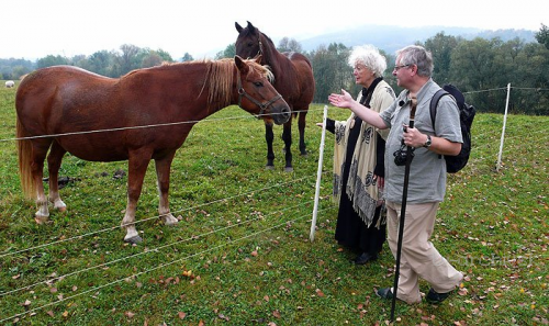 foto: archiv ČT