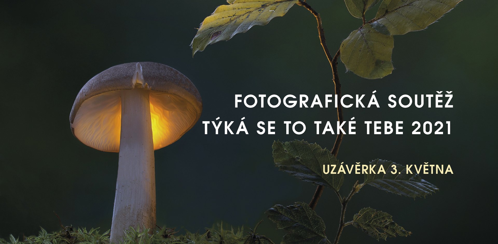 Fotografové, pozor!