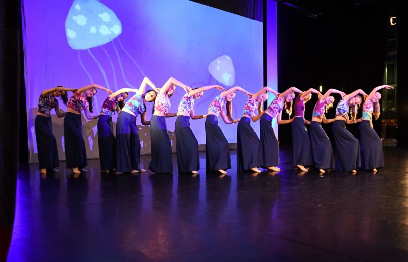 ZUŠ Slovácko: Živly