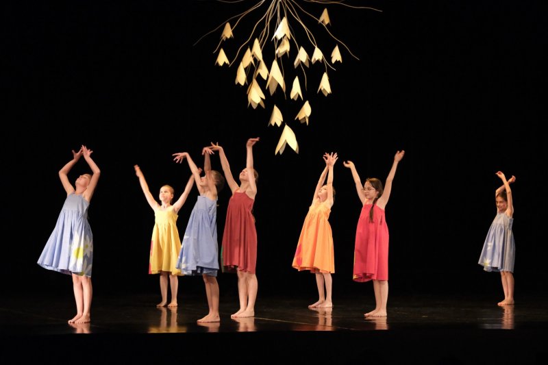 Tanec, tanec... pírko