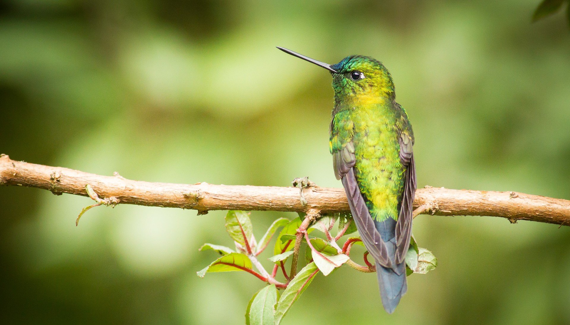 Točte, foťte, posílejte – tvůrčí výzva Festivalu ekologie a ochrany přírody TSTTT