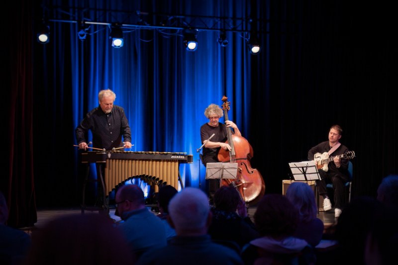 Jazz: Vibe Fantasy Trio