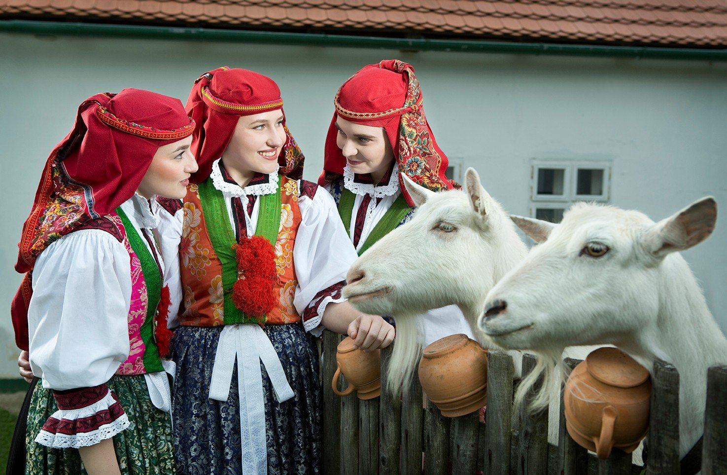 Slovácké slavnosti vína a otevřených památek hledáčky fotografů